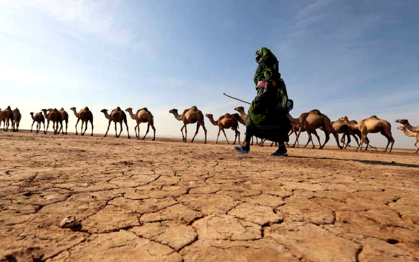 Governance cover image for Cyrus Oguna: drought does not cause famine; bad politics does