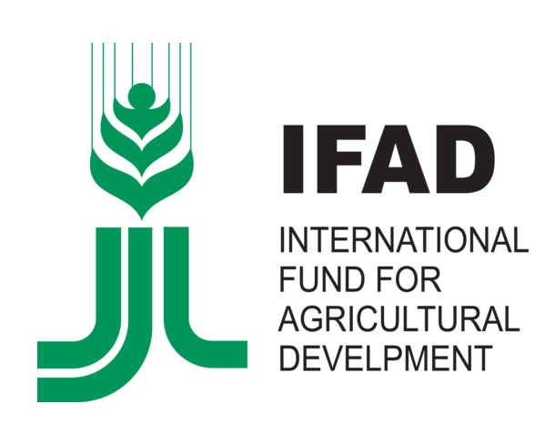 International Fund for Agricultural Development logo
